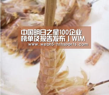 华体会，hth，华体会入口