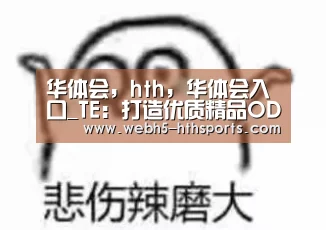 华体会,hth,华体会入口_TE:打造优质精品ODN网络(图2) 华体会,hth,华体会入口